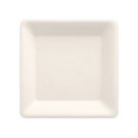 12 Square white sugar cane plates 15.5x15.5cm